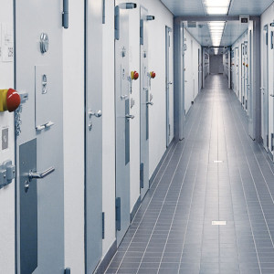 Lahendused vaimse tervise- ja kinnipidamisasutustele