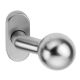 Door knob 2133 F (fireproof), fixed on oval rose, st.steel