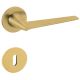 CONO M265B handle/rose set BB, zeltīts PVD satin (TS)