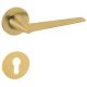 CONO M265B handle/rose set PZ, zeltīts PVD satin (TS)