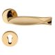 FISH handle set with roses 023 PZ, polished gold / matt gold