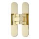 INVISACTA 3D concealed hinge 23x120, gold tone brightly polished