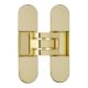 INVISACTA IN300 concealed hinge 30x120 mm, polished gold