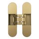 INVISACTA IN300 concealed hinge 30x120 mm, matt gold