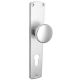 Door knob on long backplate, aluminium F1