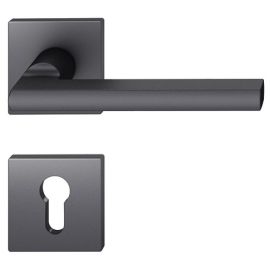 Käepideme komplekt koos rosettidega FSB 1035/1704 S8