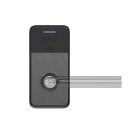 VOYAGER BILLY piekļuves kontroles uzlika, melns PVD