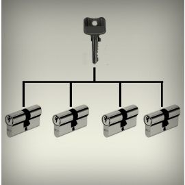 Service - profile cylinder adaption for equal locking system