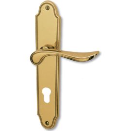 Handle set CLIO-R with PZ backplates