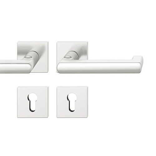 79 1031 Käepideme komplekt nelinurksetel rosetidel, naturaalne alumiinium F1