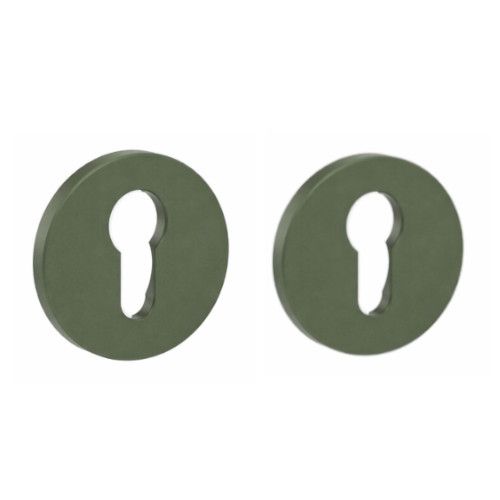 LINEA COLORS pair of roses PZ, aluminium green oxid