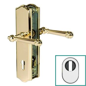 SICURA MOUNT security backplates with cylinder shield, hanld/hndle, PZ92 ZA, brass PVD golden