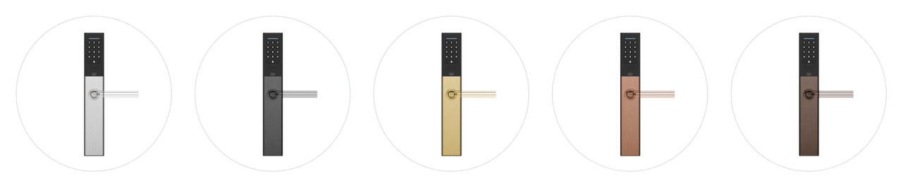 Voyager Maxim Numeric viedā durvju uzlika dažādās apstrādēs